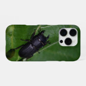 Dorcus parallelipipedus , der kleinere Hirschkäfer iPhone Hülle (Rückseite (Horizontal))