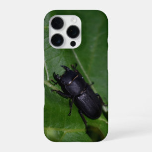 Dorcus parallelipipedus , der kleinere Hirschkäfer iPhone 16 Pro Hülle
