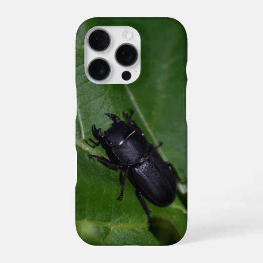 Dorcus parallelipipedus , der kleinere Hirschkäfer iPhone Hülle (Rückseite)