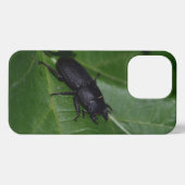 Dorcus parallelipipedus , der kleinere Hirschkäfer iPhone Hülle (Rückseite (Horizontal))