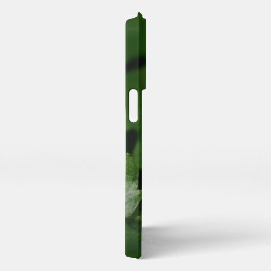 Dorcus parallelipipedus , der kleinere Hirschkäfer iPhone Hülle (Rechte Seite)