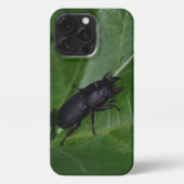 Dorcus parallelipipedus , der kleinere Hirschkäfer iPhone Hülle (Rückseite)