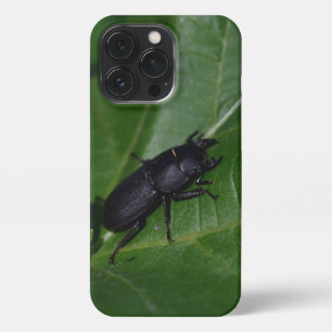 Dorcus parallelipipedus , der kleinere Hirschkäfer iPhone 13 Pro Hülle