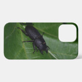 Dorcus parallelipipedus , der kleinere Hirschkäfer iPhone Hülle (Rückseite (Horizontal))