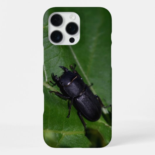 Dorcus parallelipipedus , der kleinere Hirschkäfer iPhone Hülle (Rückseite)
