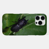 Dorcus parallelipipedus , der kleinere Hirschkäfer iPhone Hülle (Rückseite (Horizontal))