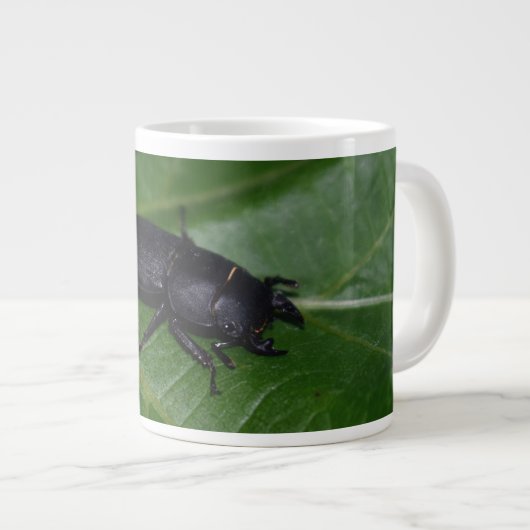 Dorcus parallelipipedus , der kleinere Hirschkäfer Jumbo-Tasse (Vorderseite Rechts)