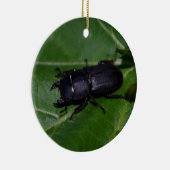 Dorcus parallelipipedus , der kleinere Hirschkäfer Keramik Ornament (Rechts)