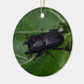 Dorcus parallelipipedus , der kleinere Hirschkäfer Keramik Ornament (Links)