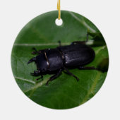 Dorcus parallelipipedus , der kleinere Hirschkäfer Keramik Ornament (Hinten)