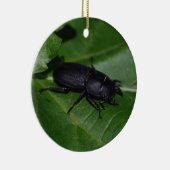 Dorcus parallelipipedus , der kleinere Hirschkäfer Keramik Ornament (Rechts)