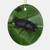 Dorcus parallelipipedus , der kleinere Hirschkäfer Keramik Ornament (Links)