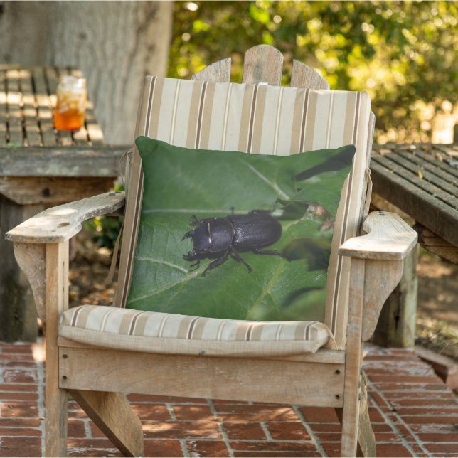 Dorcus parallelipipedus , der kleinere Hirschkäfer Kissen (Stuhl )