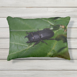 Dorcus parallelipipedus , der kleinere Hirschkäfer Kissen Für Draußen