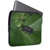 Dorcus parallelipipedus , der kleinere Hirschkäfer Laptopschutzhülle (Vorne Rechts)