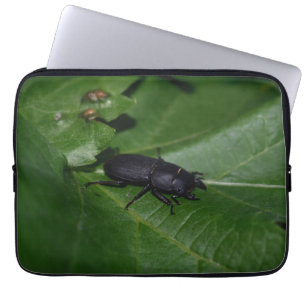 Dorcus parallelipipedus , der kleinere Hirschkäfer Laptopschutzhülle