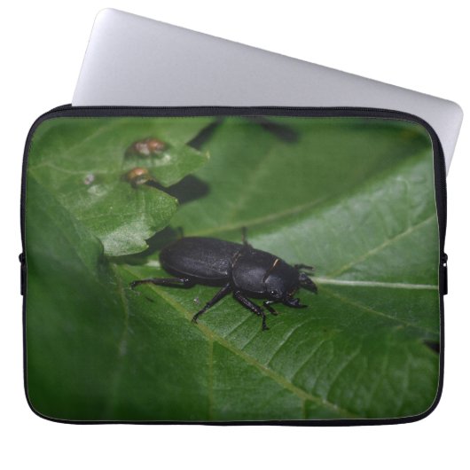 Dorcus parallelipipedus , der kleinere Hirschkäfer Laptopschutzhülle (Vorderseite)