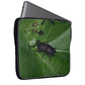 Dorcus parallelipipedus , der kleinere Hirschkäfer Laptopschutzhülle (Vorne Rechts)