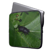 Dorcus parallelipipedus , der kleinere Hirschkäfer Laptopschutzhülle (Vorderseite Links)