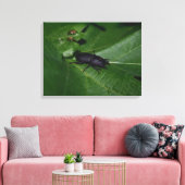 Dorcus parallelipipedus , der kleinere Hirschkäfer Leinwanddruck (Insitu (Wohnzimmer))