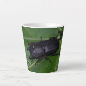Dorcus parallelipipedus , der kleinere Hirschkäfer Milchtasse (Vorderseite)