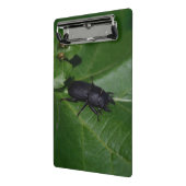 Dorcus parallelipipedus , der kleinere Hirschkäfer Mini Klemmbrett (Gewinkelt2)