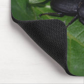 Dorcus parallelipipedus , der kleinere Hirschkäfer Mousepad (Ecke)
