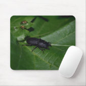 Dorcus parallelipipedus , der kleinere Hirschkäfer Mousepad (Mit Mouse)