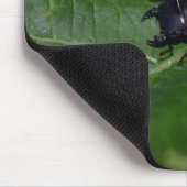 Dorcus parallelipipedus , der kleinere Hirschkäfer Mousepad (Ecke)