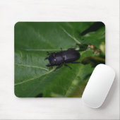 Dorcus parallelipipedus , der kleinere Hirschkäfer Mousepad (Mit Mouse)
