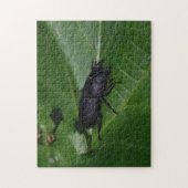 Dorcus parallelipipedus , der kleinere Hirschkäfer Puzzle (Vertikal)