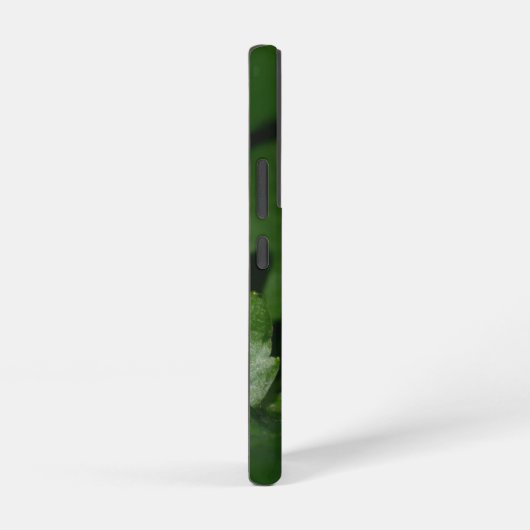 Dorcus parallelipipedus , der kleinere Hirschkäfer Samsung Galaxy Hülle (Rechte Seite)