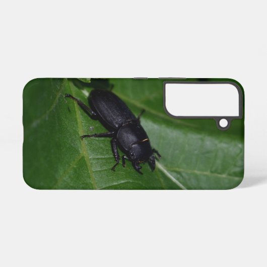 Dorcus parallelipipedus , der kleinere Hirschkäfer Samsung Galaxy Hülle (Rückseite (Horizontal))