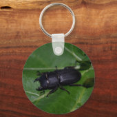 Dorcus parallelipipedus , der kleinere Hirschkäfer Schlüsselanhänger (Rückseite)