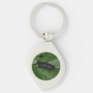 Dorcus parallelipipedus , der kleinere Hirschkäfer Schlüsselanhänger