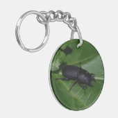 Dorcus parallelipipedus , der kleinere Hirschkäfer Schlüsselanhänger (Vorderseite links)