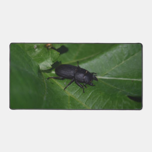 Dorcus parallelipipedus , der kleinere Hirschkäfer Schreibtischunterlage