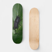 Dorcus parallelipipedus , der kleinere Hirschkäfer Skateboard (Vorderseite)