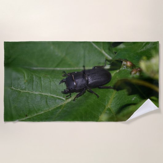 Dorcus parallelipipedus , der kleinere Hirschkäfer Strandtuch (Vorderseite)