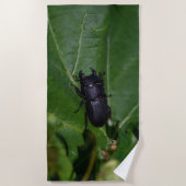 Dorcus parallelipipedus , der kleinere Hirschkäfer Strandtuch (Vorderseite)