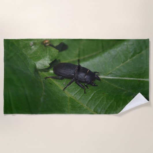Dorcus parallelipipedus , der kleinere Hirschkäfer Strandtuch (Vorderseite)