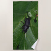 Dorcus parallelipipedus , der kleinere Hirschkäfer Strandtuch (Vorderseite)