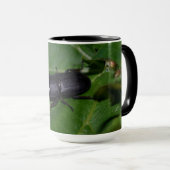 Dorcus parallelipipedus , der kleinere Hirschkäfer Tasse (VorderseiteRechts)