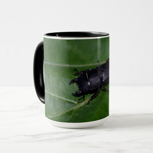 Dorcus parallelipipedus , der kleinere Hirschkäfer Tasse (Vorderseite Links)