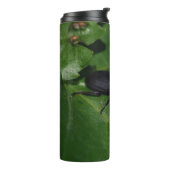 Dorcus parallelipipedus , der kleinere Hirschkäfer Thermosbecher (Nach links gedreht)