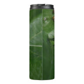 Dorcus parallelipipedus , der kleinere Hirschkäfer Thermosbecher (Rückseite)