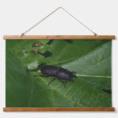 Dorcus parallelipipedus , der kleinere Hirschkäfer Wandteppich Mit Holzrahmen (Vorderseite)