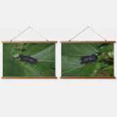 Dorcus parallelipipedus , der kleinere Hirschkäfer Wandteppich Mit Holzrahmen (Doppelt)