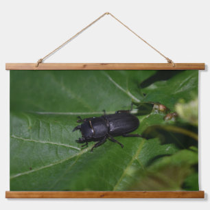 Dorcus parallelipipedus , der kleinere Hirschkäfer Wandteppich Mit Holzrahmen