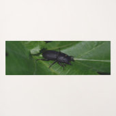 Dorcus parallelipipedus , der kleinere Hirschkäfer Yogamatte (Rückseite (Horizontal))
